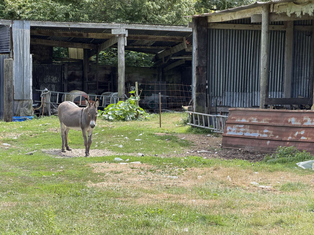 2 maisons sur plus d'1 hectare - photo 4