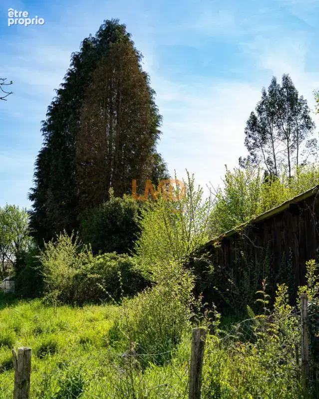 Terrain à SAINT-PAUL