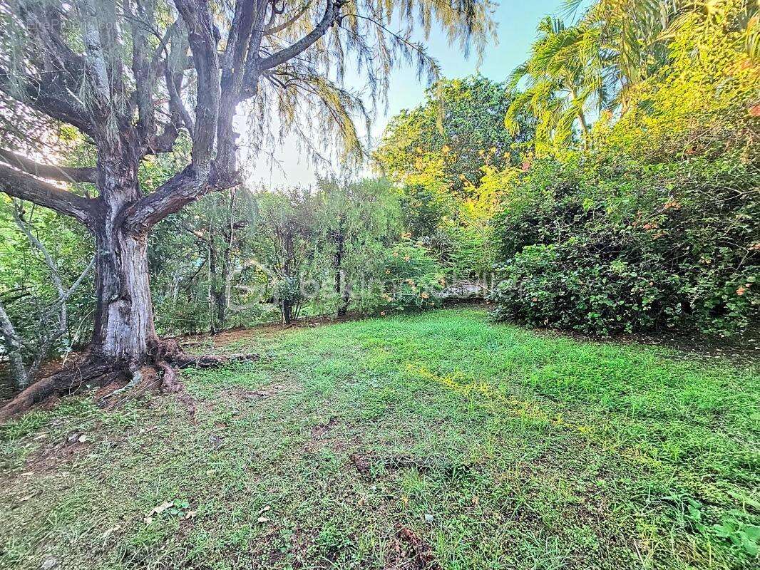 Maison à SAINT-FRANCOIS