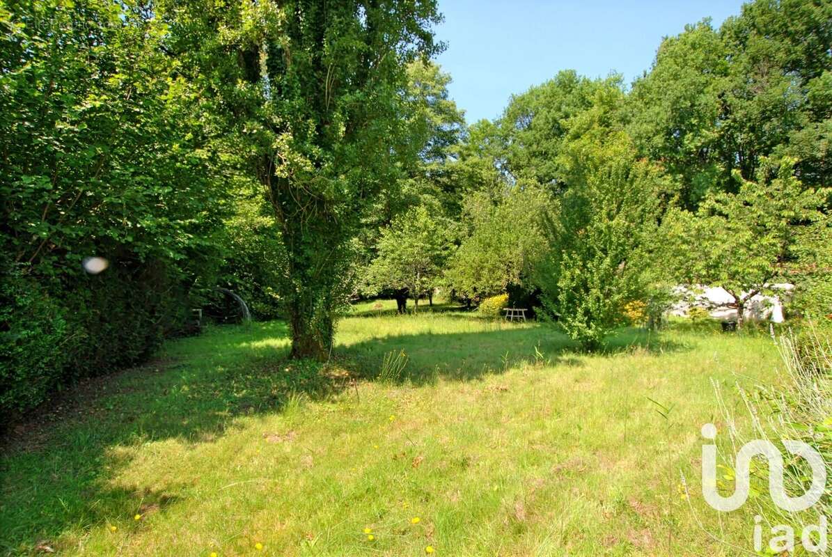 Photo 4 - Maison à SAINT-FARGEAU