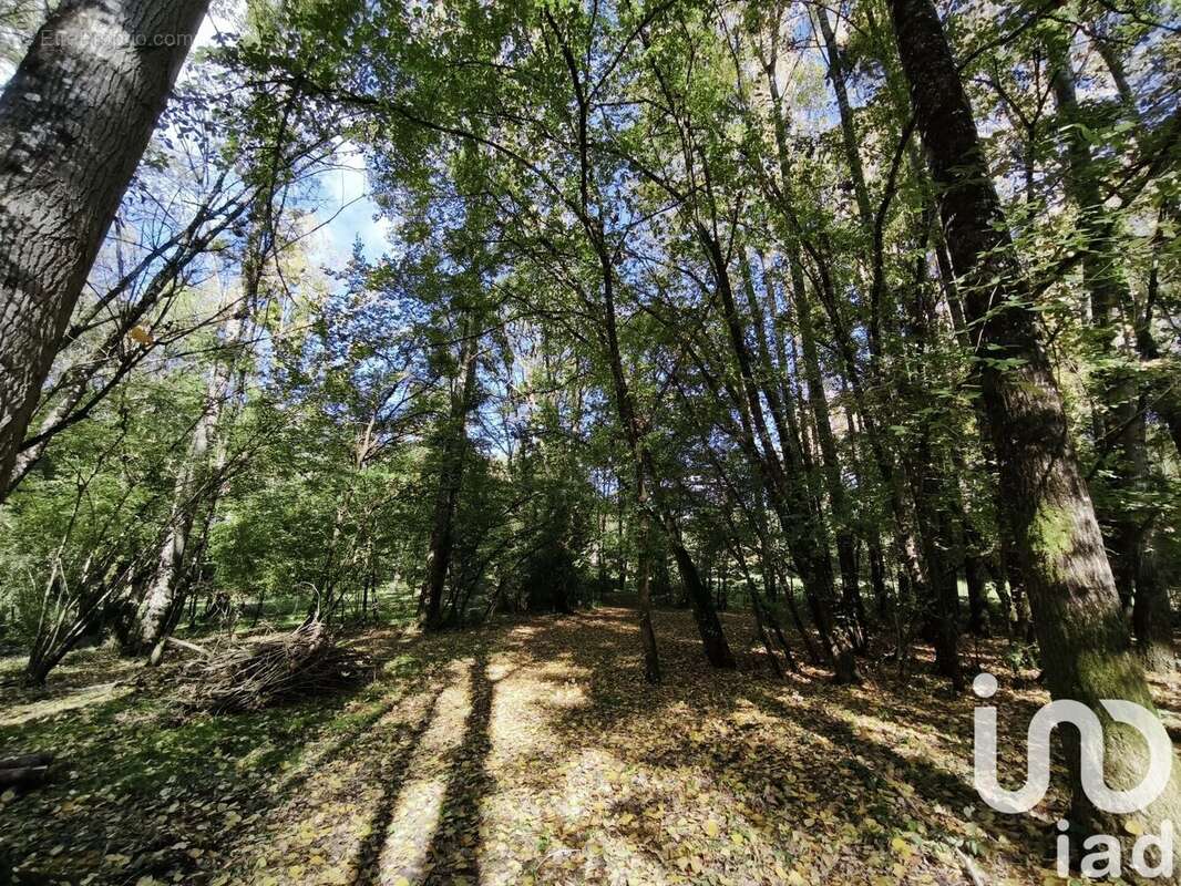 Photo 5 - Terrain à LA VERNELLE