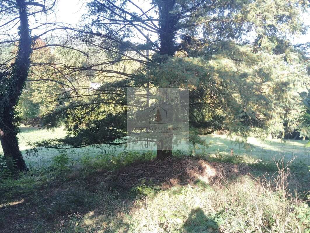 Maison à SAINT-BONNET-DE-SALENDRINQUE