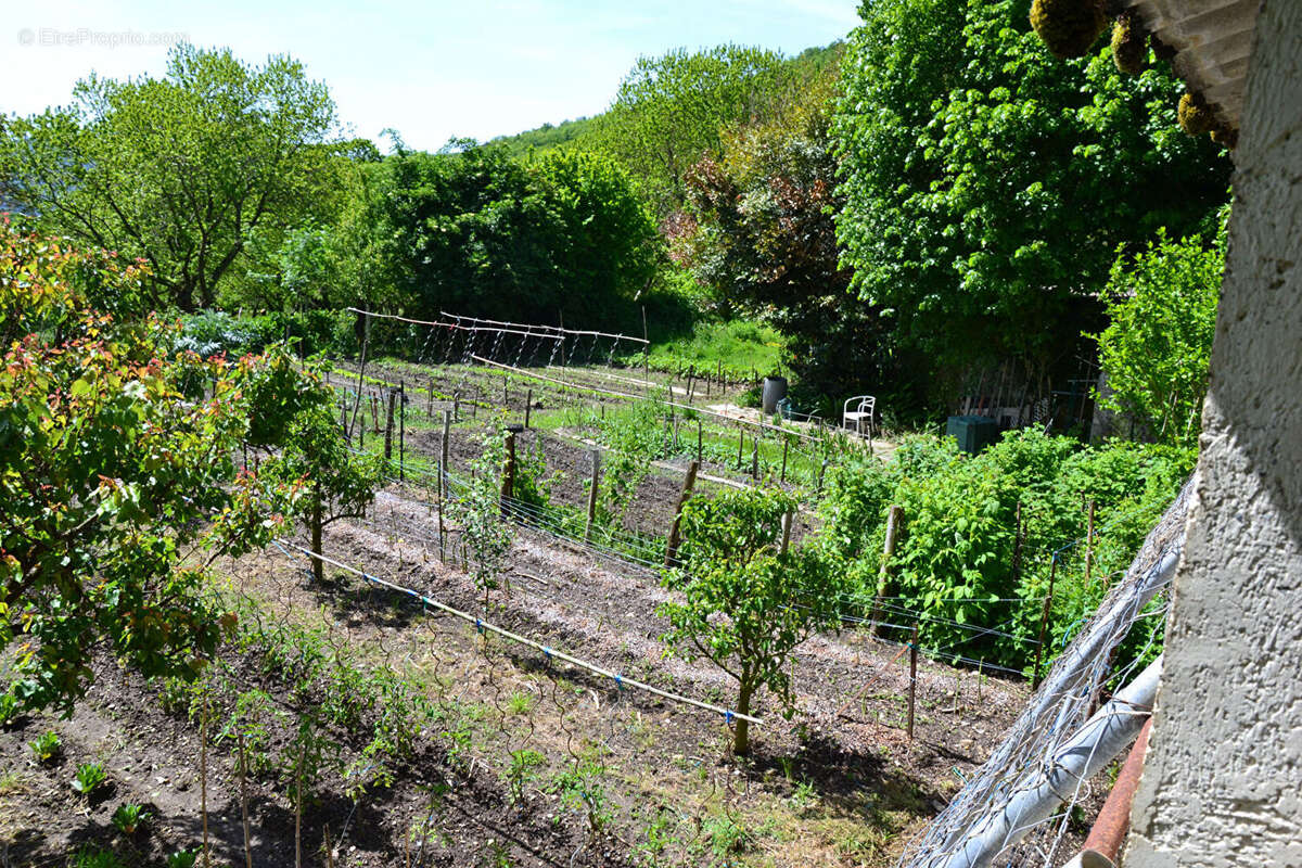 Courniou rare ancienne Ferme ensemble d'habiations de 300m² sur 1770 m² - photo 18