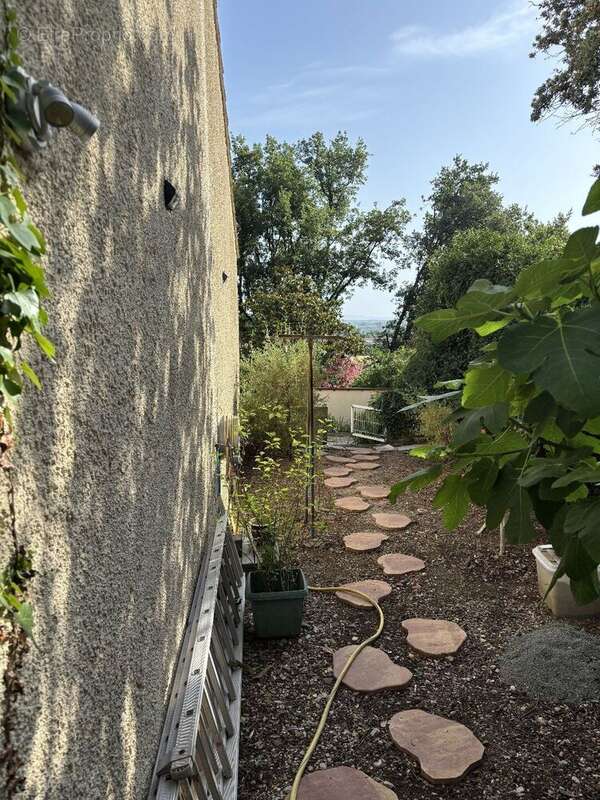 Photo 8 - Maison à NIZAS