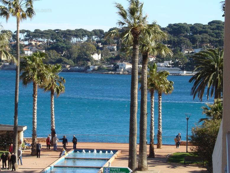Vieil antibes superbe bar a vin restaurant terrasse - photo 2