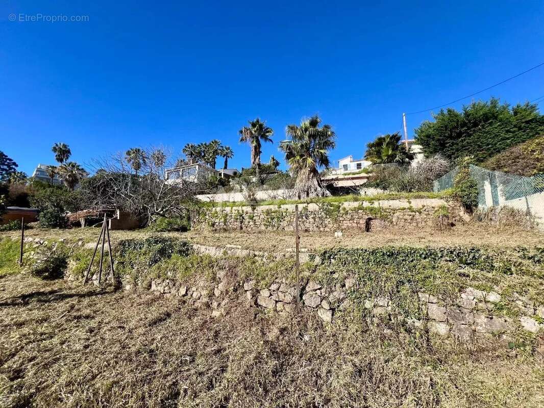 Terrain à VALLAURIS