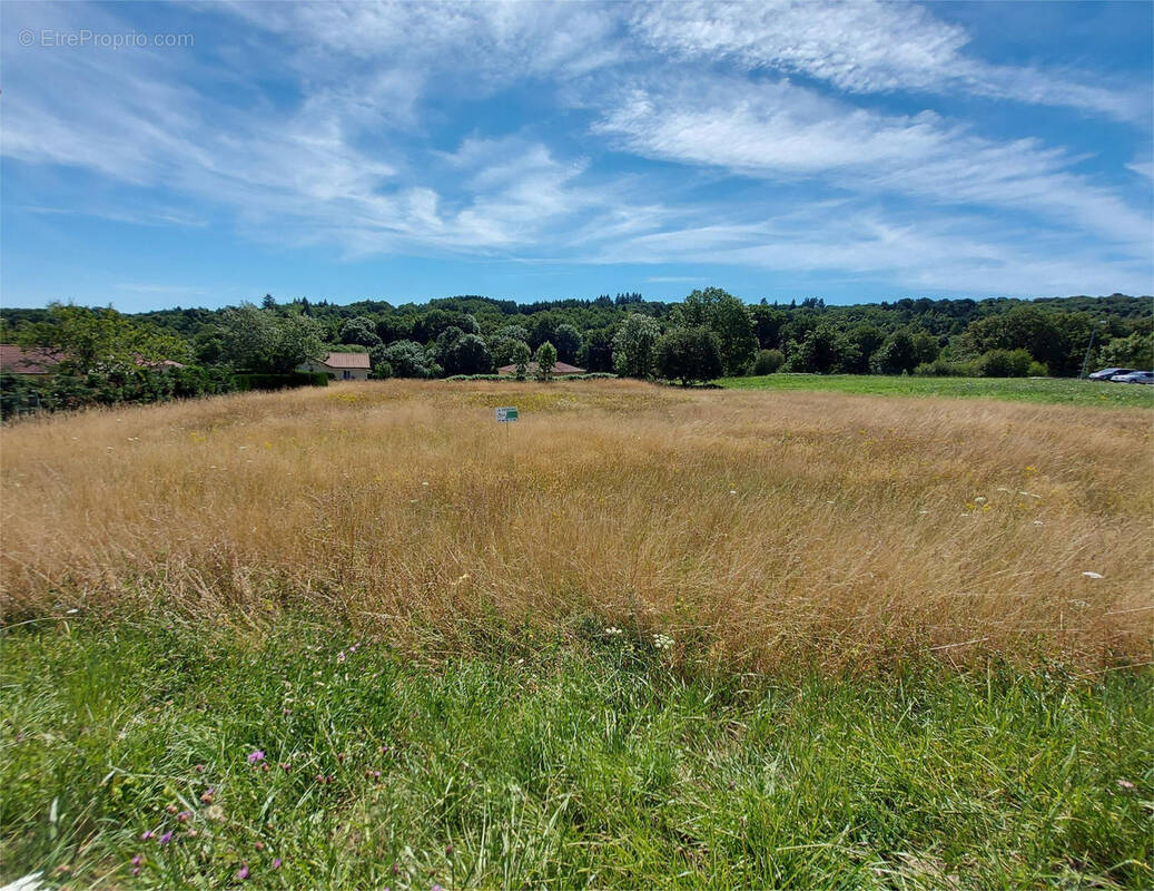Terrain à BESSINES-SUR-GARTEMPE