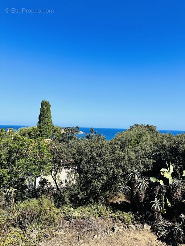 Maison à L&#039;ILE-ROUSSE