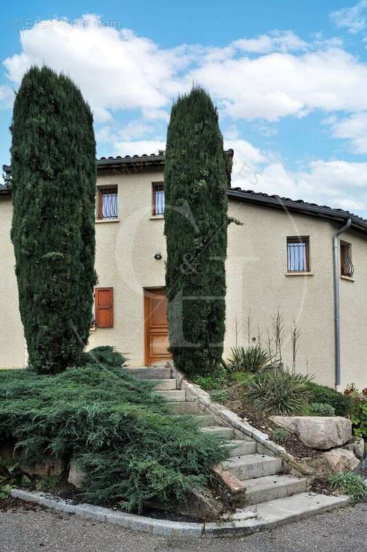 Photo 3 - Maison à DIEMOZ