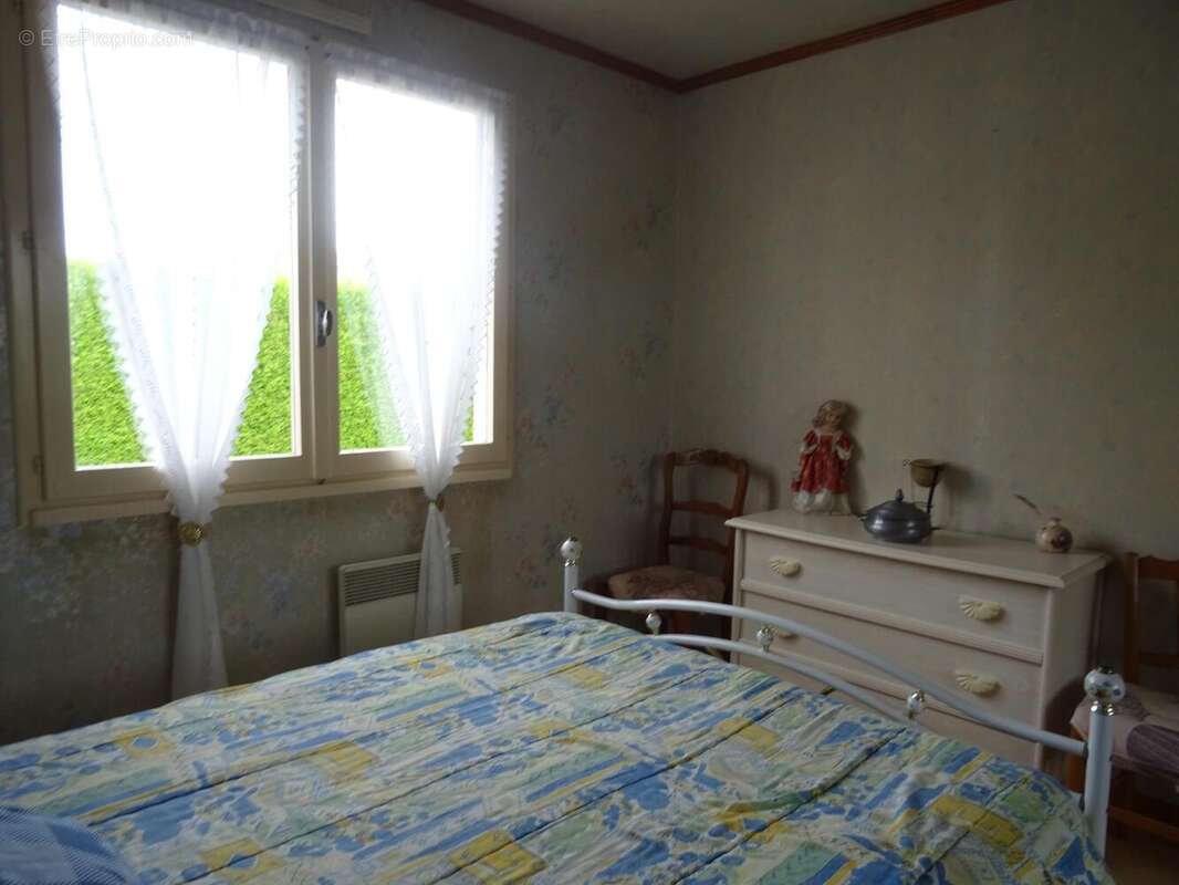 Photo 8