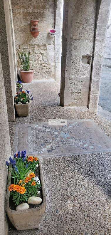 Commerce à PUYLAROQUE