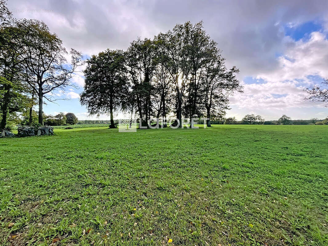 Maison à BAINS-SUR-OUST