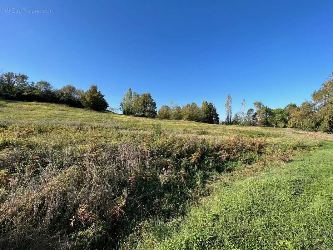 Terrain à POUPAS