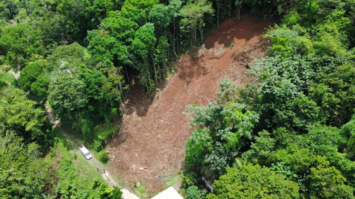 Photo 4 - Terrain à RIVIERE-SALEE