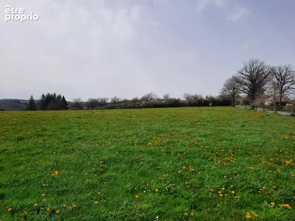 Terrain 1 500 m² à vendre à Roannes-Saint-Mary (15220) - photo 1
