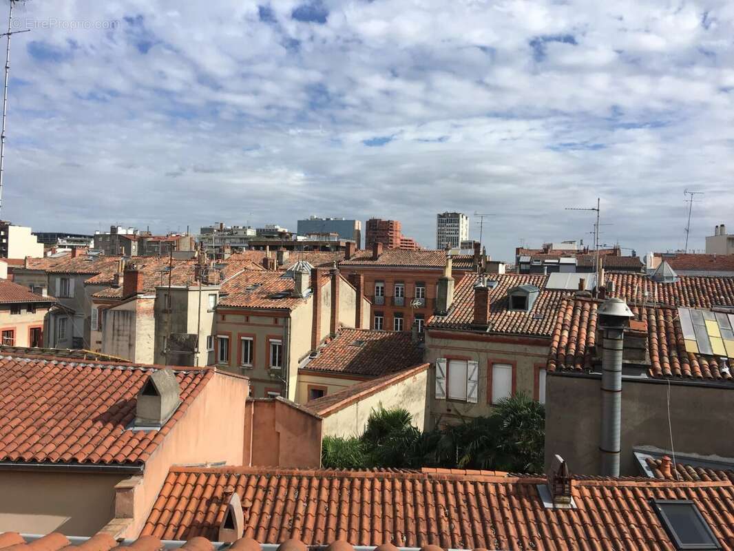 37 m2 au sol terrasse avec vue - photo 5