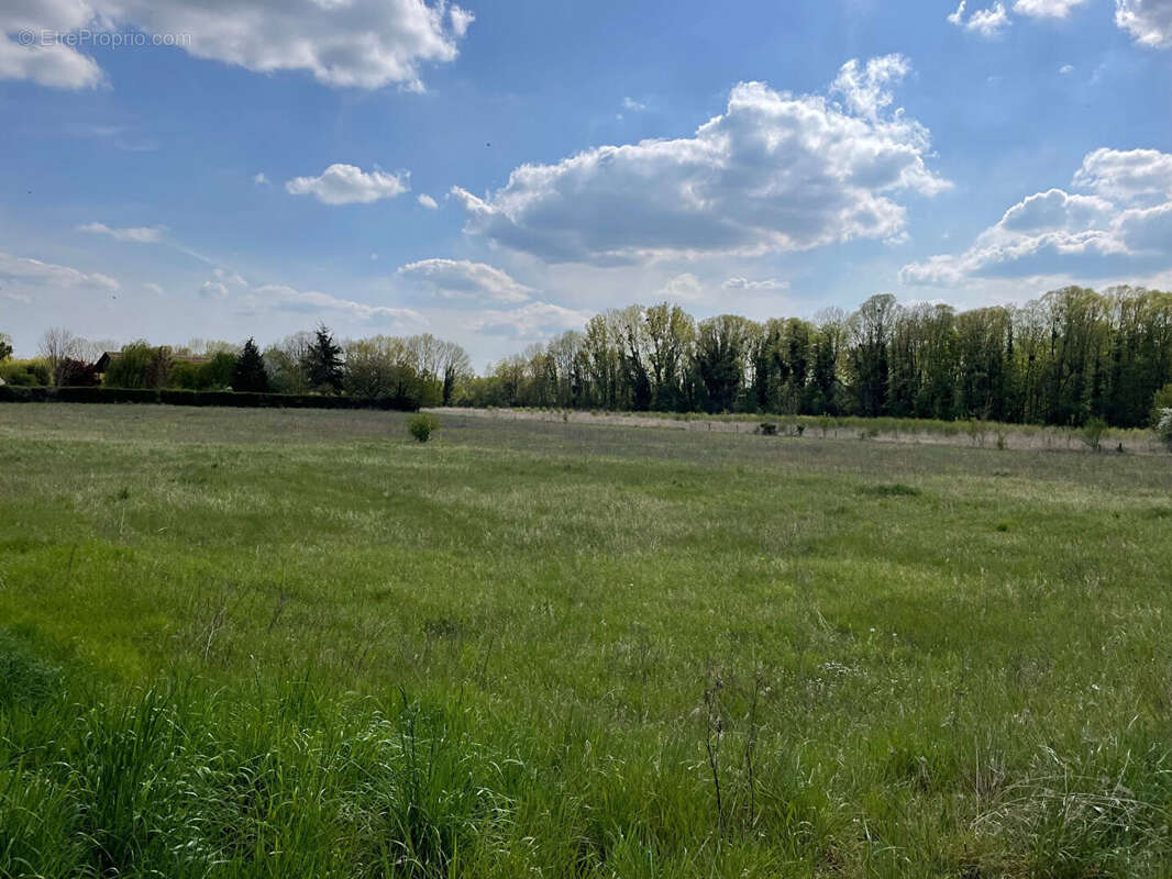 Terrain à NOGENT-LE-ROI