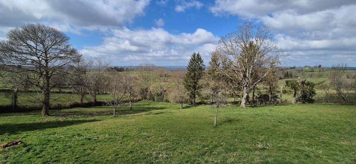 Photo 5 - Maison à MIREMONT