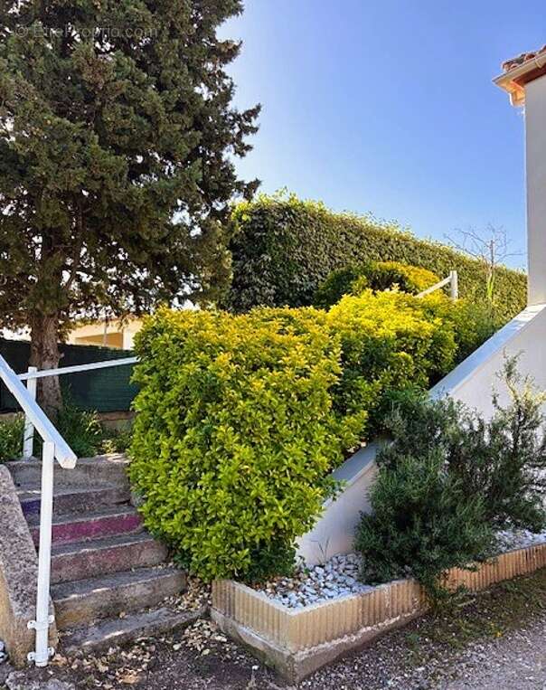 Maison à FABREGUES