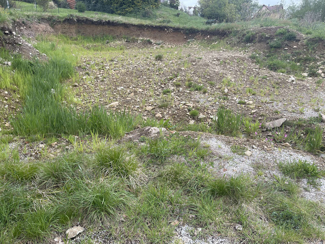 Terrain à AUXELLES-HAUT