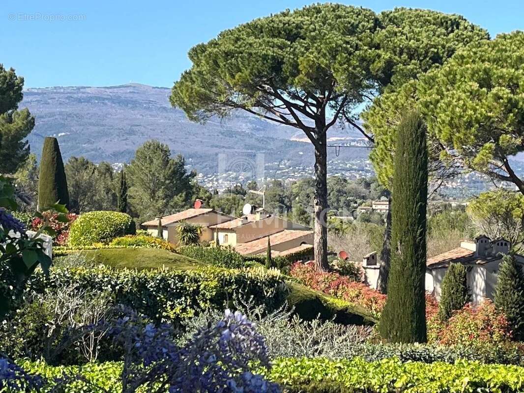Maison à MOUANS-SARTOUX