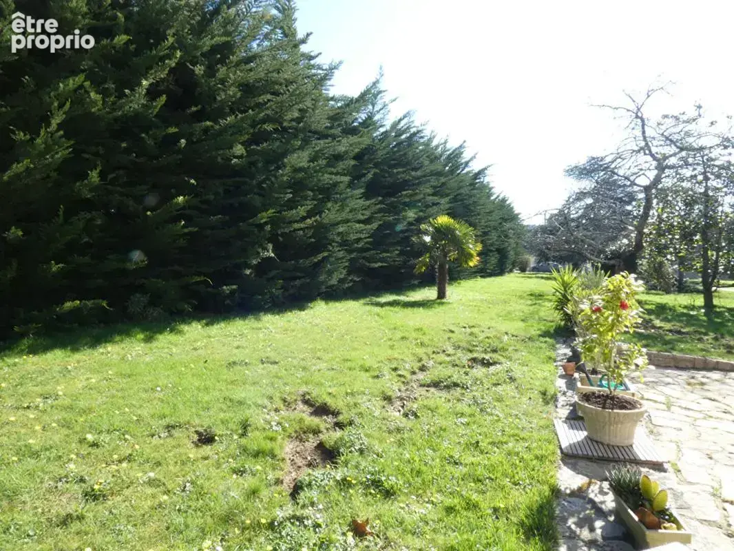 BELLE OPPORTUNITE FONCIERE ! Terrain constructible de près de 3 000m2 - photo 10