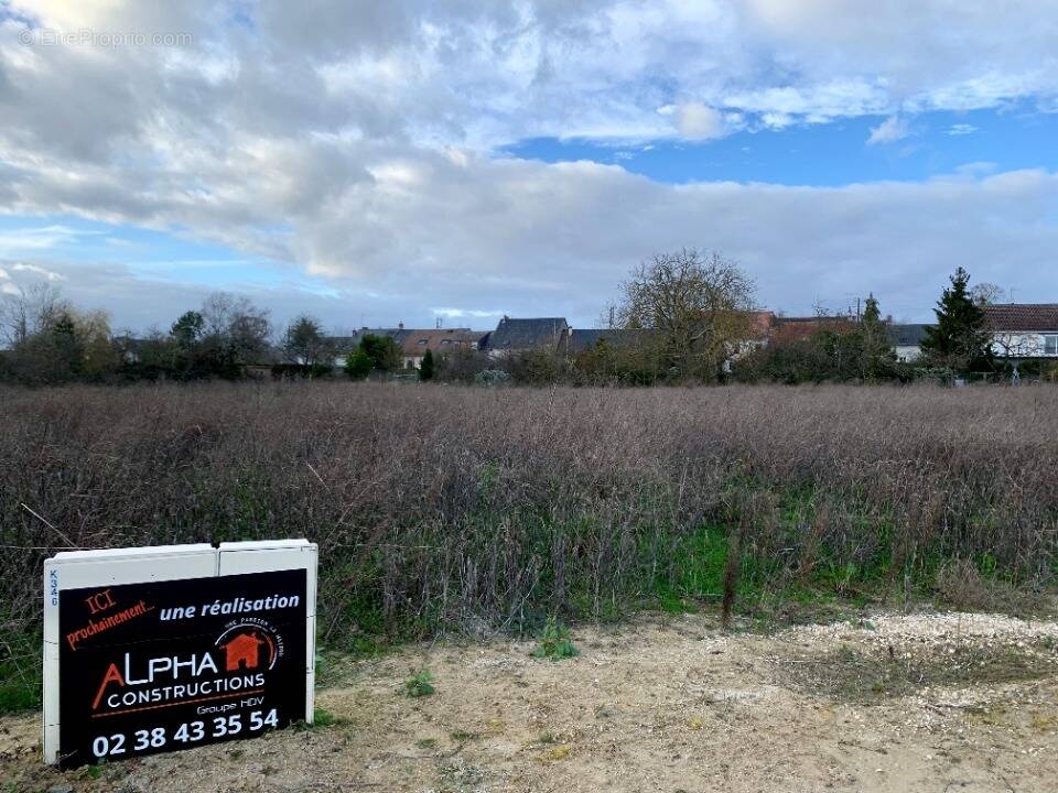 Terrain à LA FERTE-SAINT-AUBIN