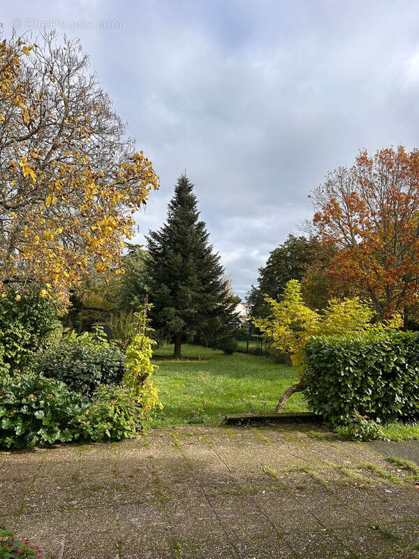 Terrain à LANDIRAS
