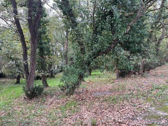 Terrain à GRATENTOUR