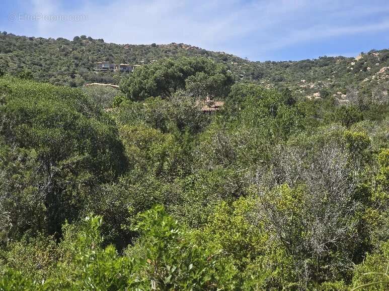 Maison à PORTO-VECCHIO