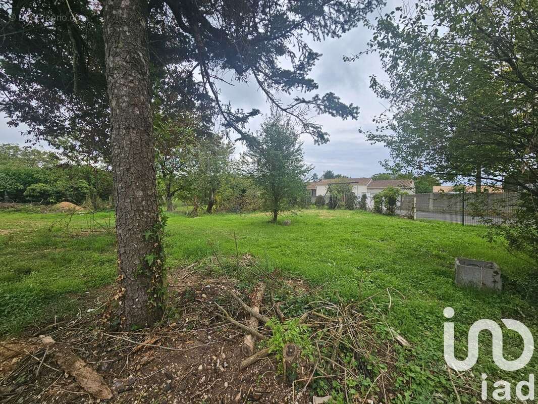 Photo 5 - Terrain à VARS