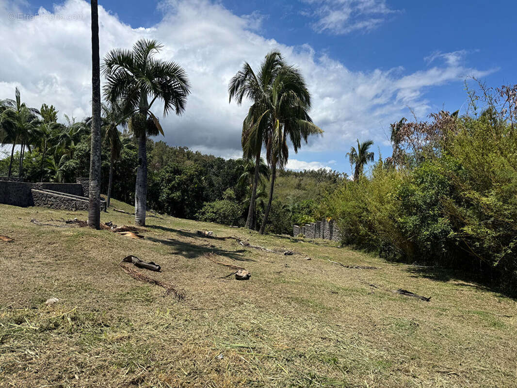 Terrain à SAINT-DENIS