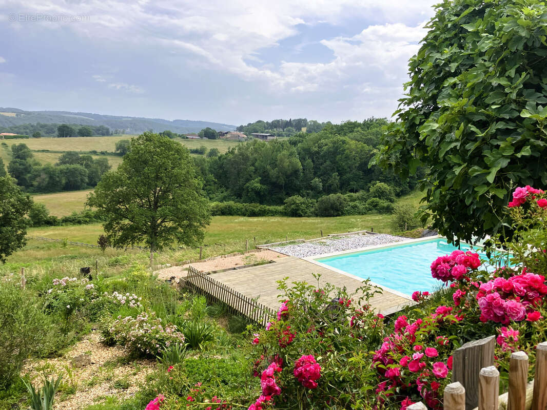 Propriété exceptionnelle, ferme ancienne rénovée, gîte, vue incroyable sur la chaîne des Pyrénées - photo 22