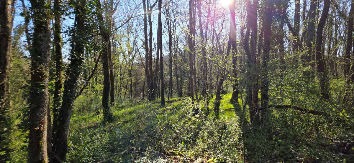 Terrain à ANGLES-SUR-L'ANGLIN