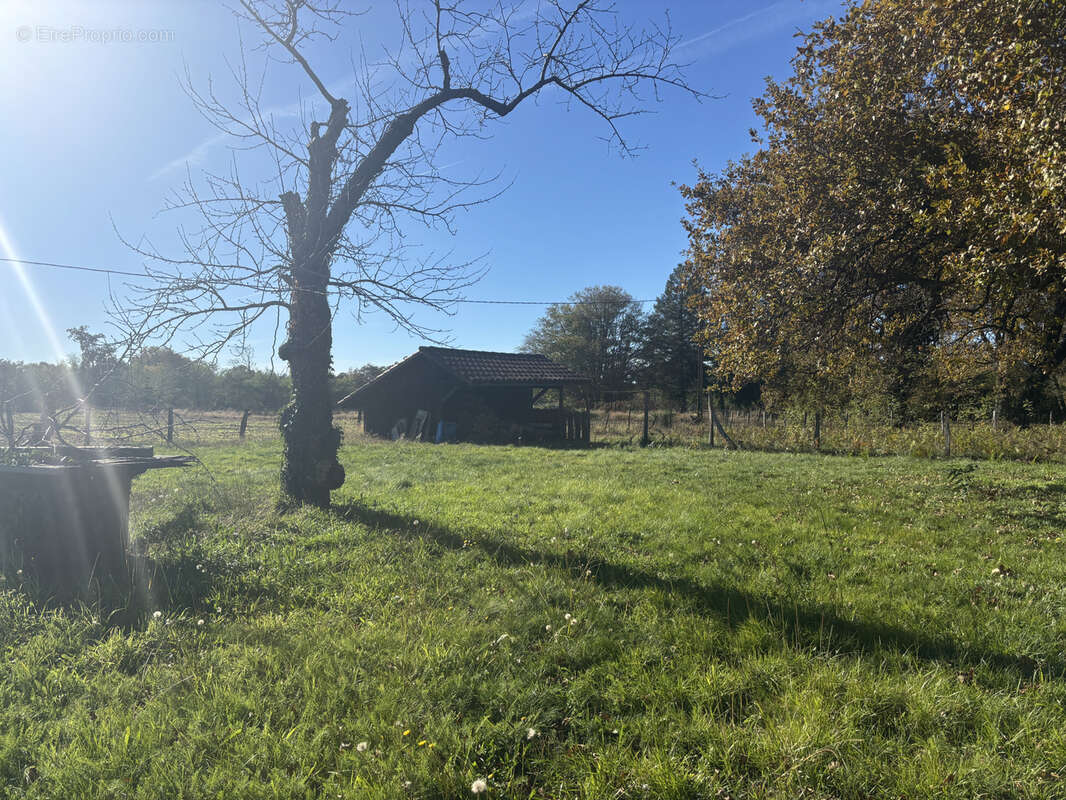 Maison à OUSSE-SUZAN