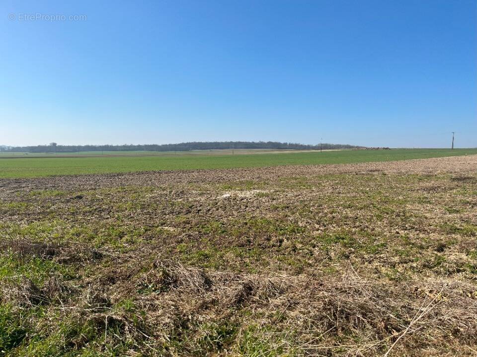 Terrain à HAUTE-AVESNES