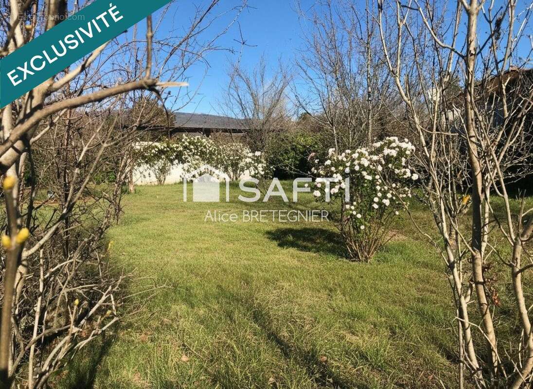 Photo 2 - Terrain à MONTLAUX