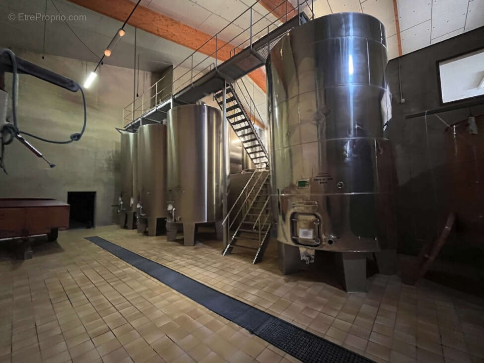 Domaine Viticole - 17 Hectares - AOP Buzet - photo 9