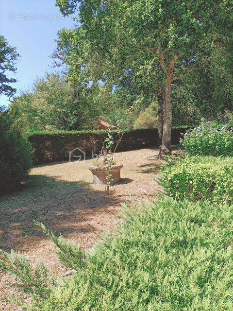 Maison landaise avec piscine - photo 9