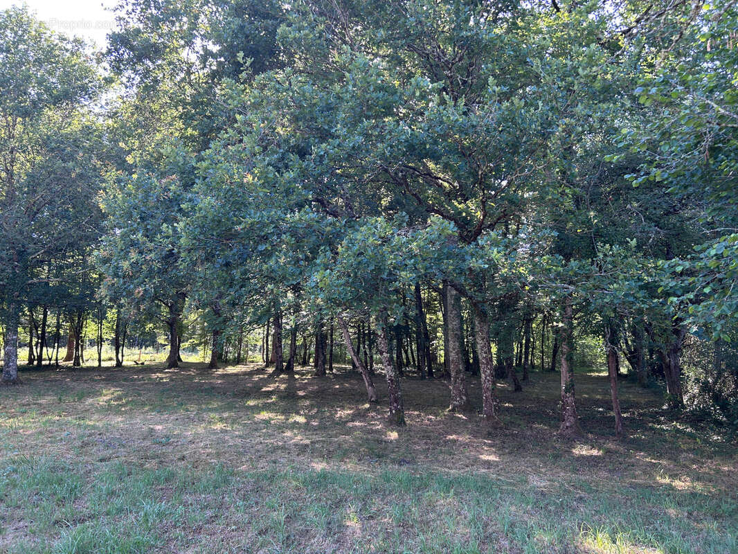 propriété située en  hameau Maison 100 m2 entièrement rénovée avec dépendances et terrain de plus d'un hectare - photo 28