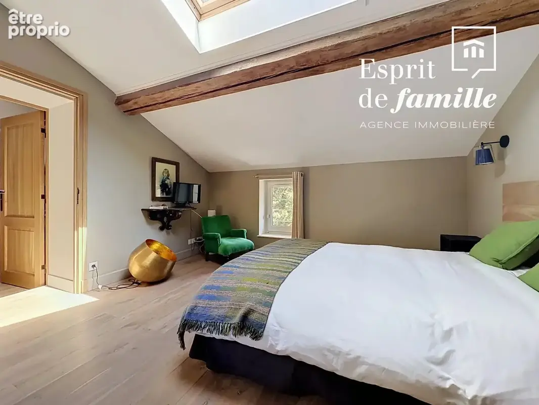 Ecully, demeure de charme 400m2 - photo 18