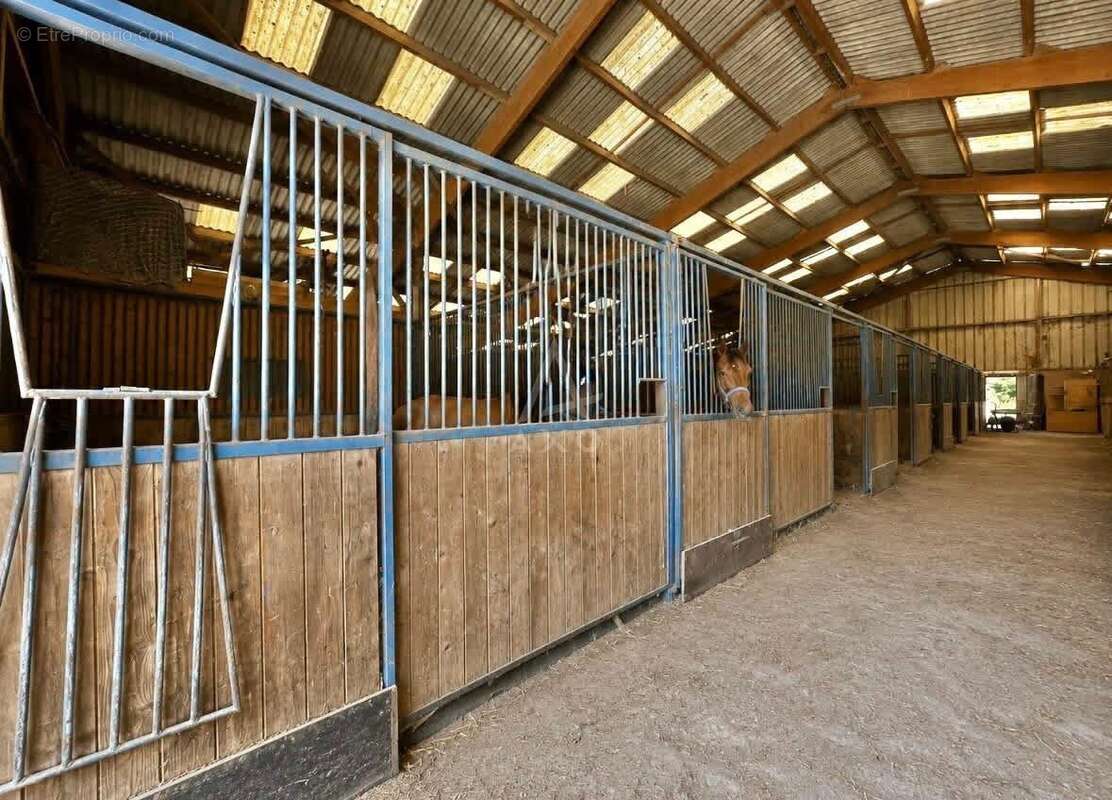 Haras d'entraînement  28 hectares d'un seul tenant à 10 km de Caen - photo 7