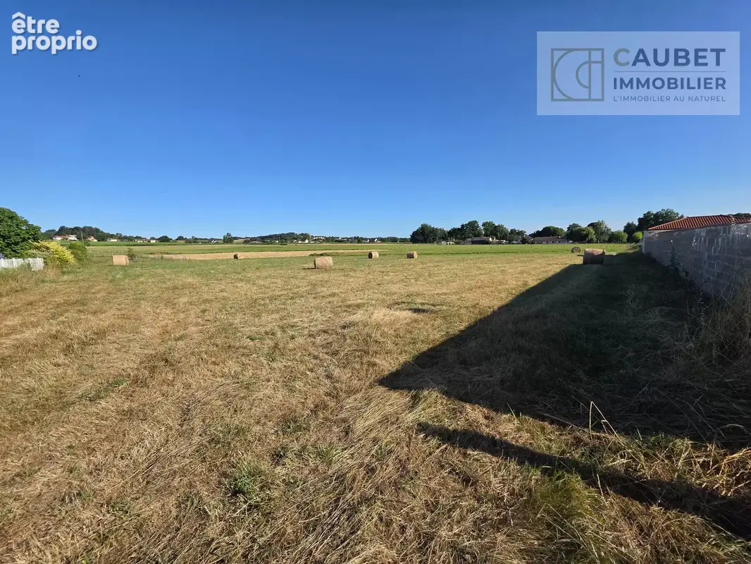 Terrain 4 030 m² à vendre à Mascaras (65190) - photo 2