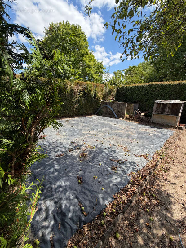 Maison elevee sur sous-sol - photo 4