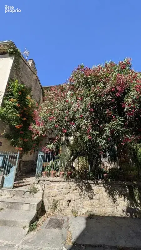 Ensemble immobilier avec cour et jardin - photo 2