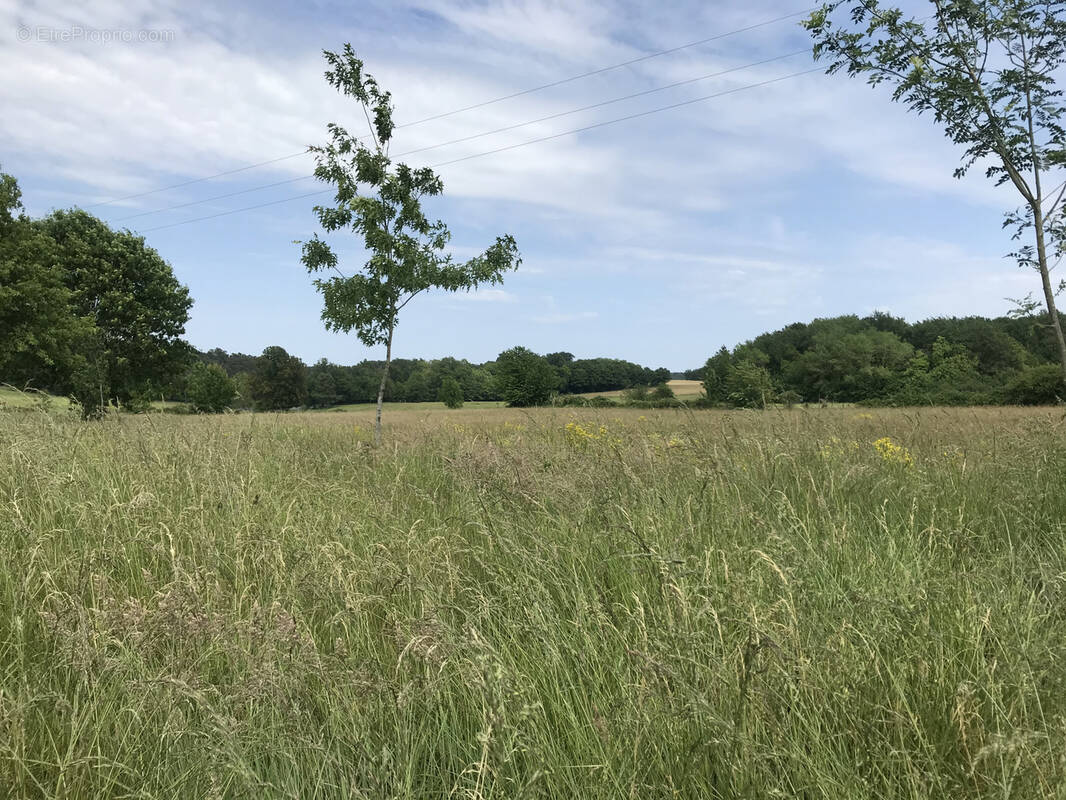 Terrain à LA ROCHE-CHALAIS
