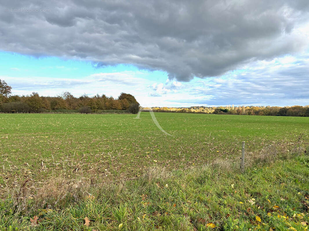 Maison à LE CELLIER