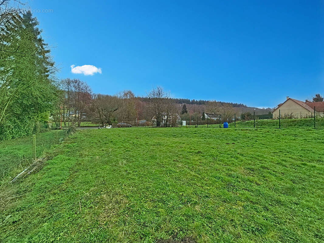 Terrain à SAINT-GERMAIN-SOUS-CAILLY