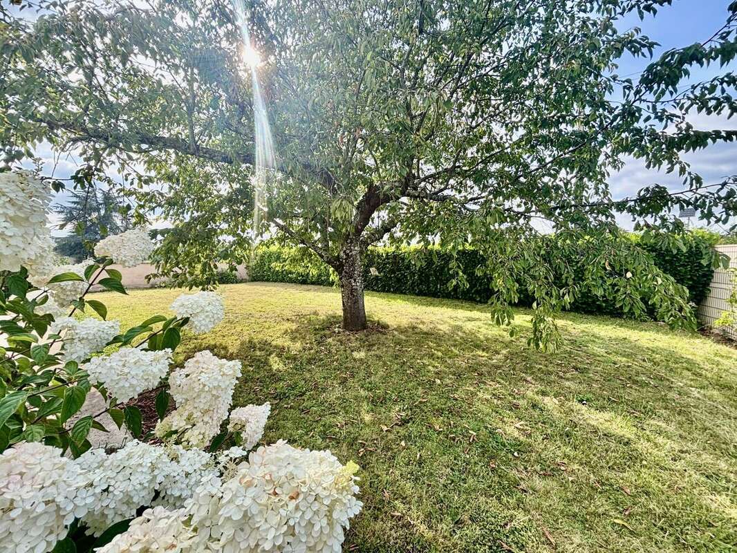 Maison à SAINT-VITE