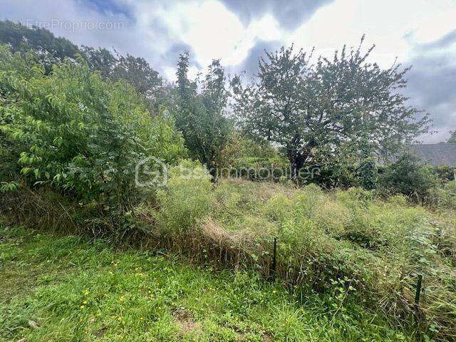 Terrain à NOYAL-MUZILLAC